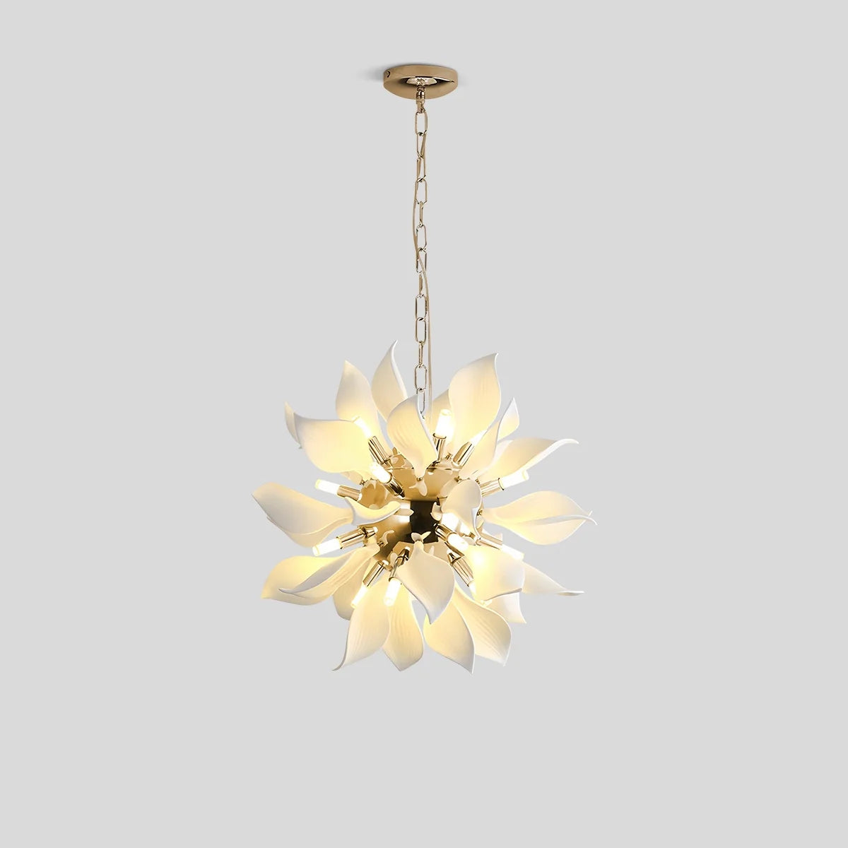 Feyran Nordic Creative Petal Pendant Light
