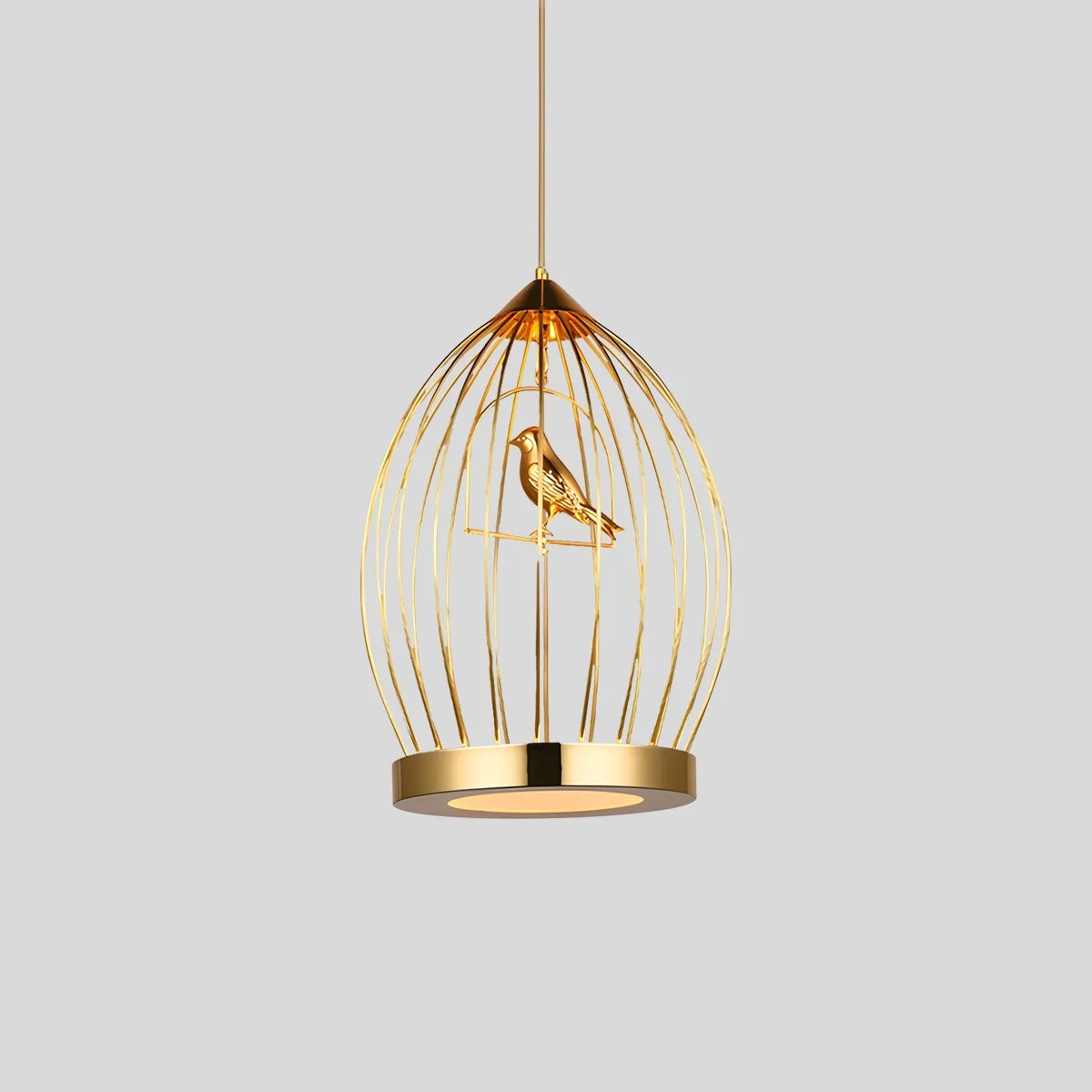 Feyran Creative Birdcage Pendant Light for Living Room