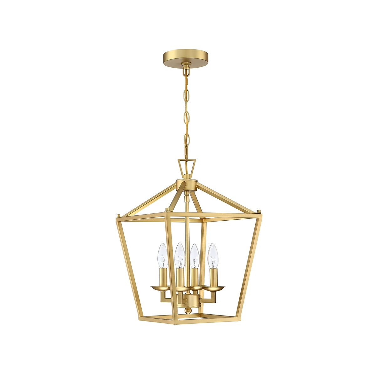 Feyran Bird Cage Iron Pendant Lamp for Dining Room