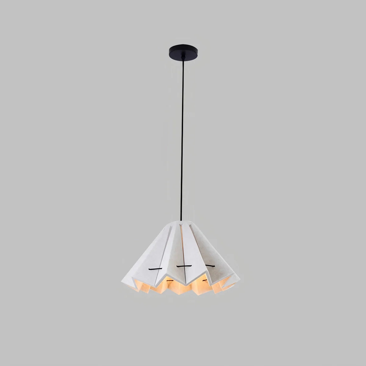 Feyran Morning Glory Acoustic Pendant Light