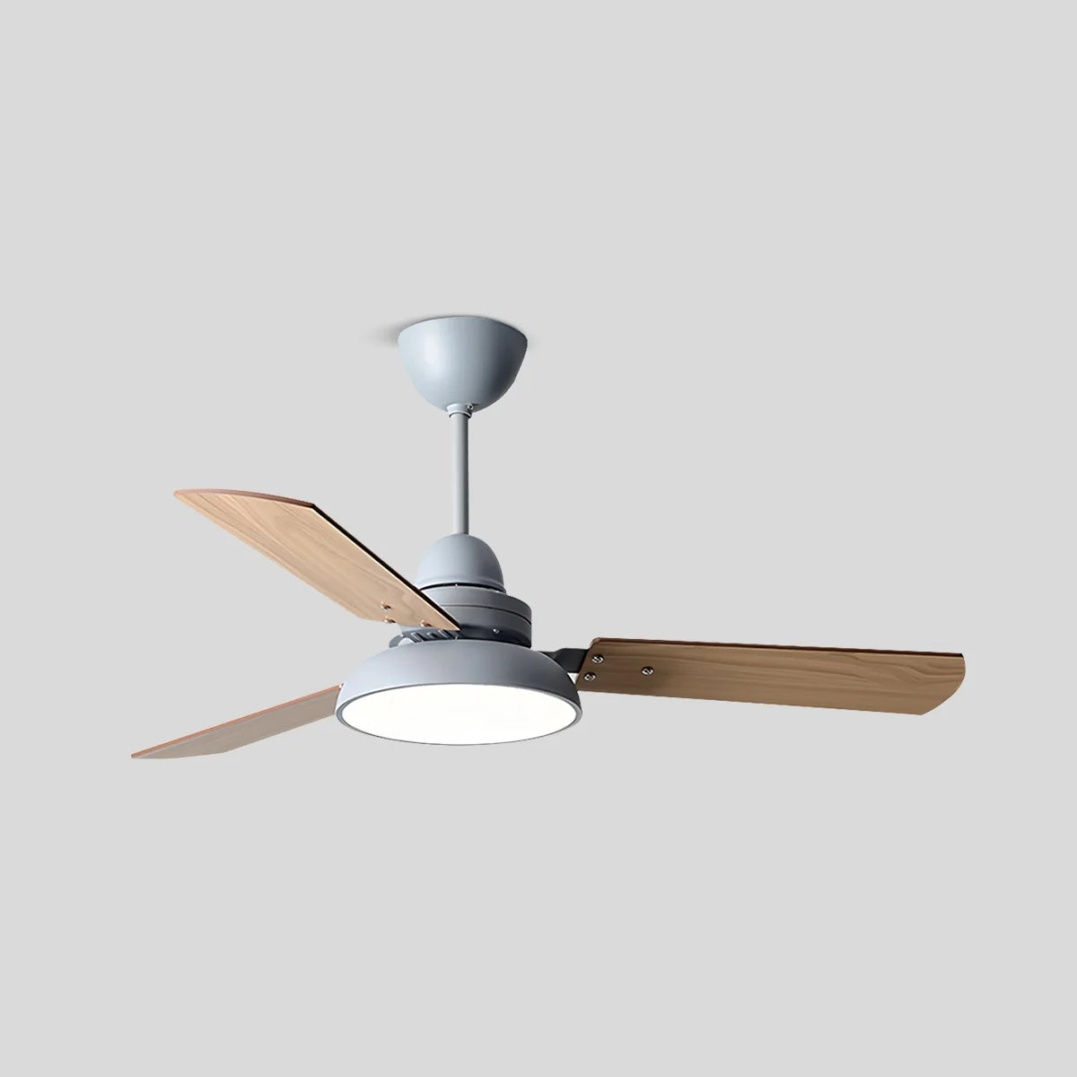 Feyran Modern Minimalist Three Leaf Ceiling Fan Light