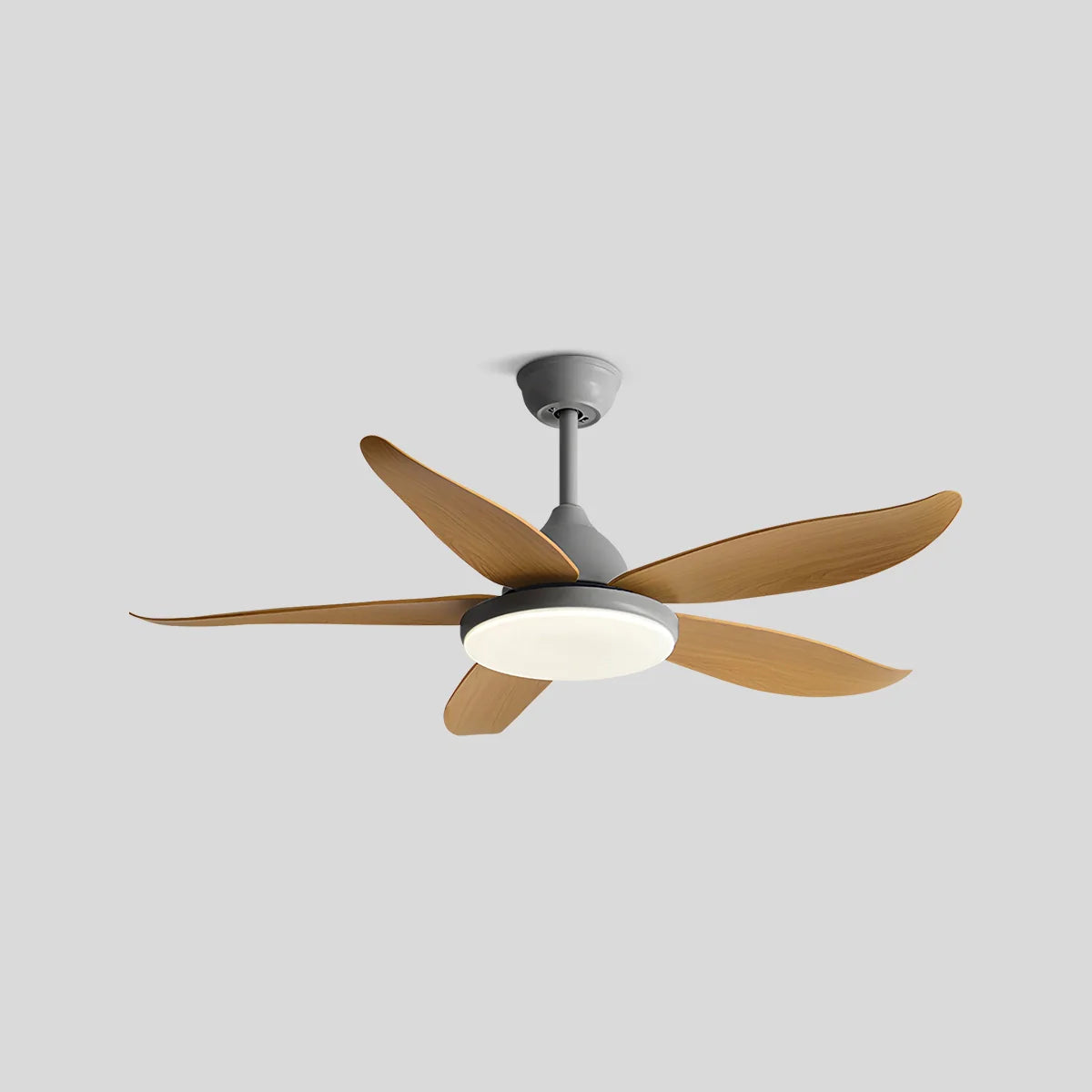 Feyran 5 Blade Contemporary Ceiling Fan Lamp