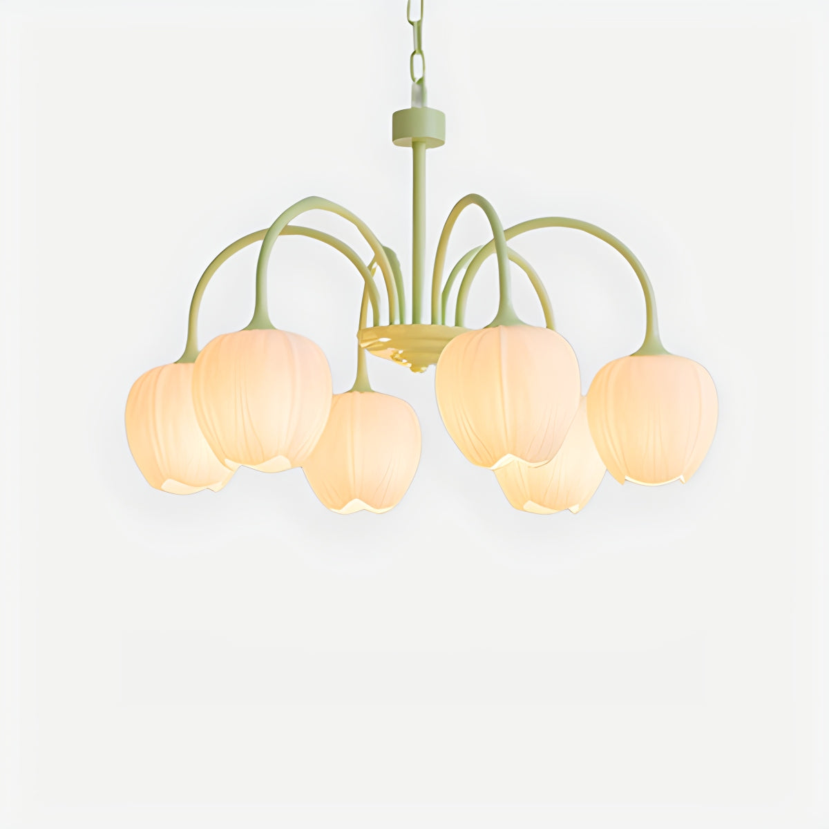 Feyran French Romance Tulip Matcha Chandelier