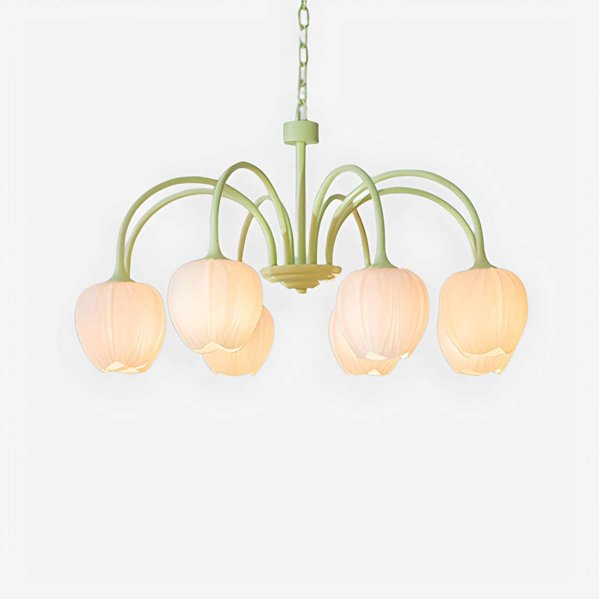 Feyran French Romance Tulip Matcha Chandelier