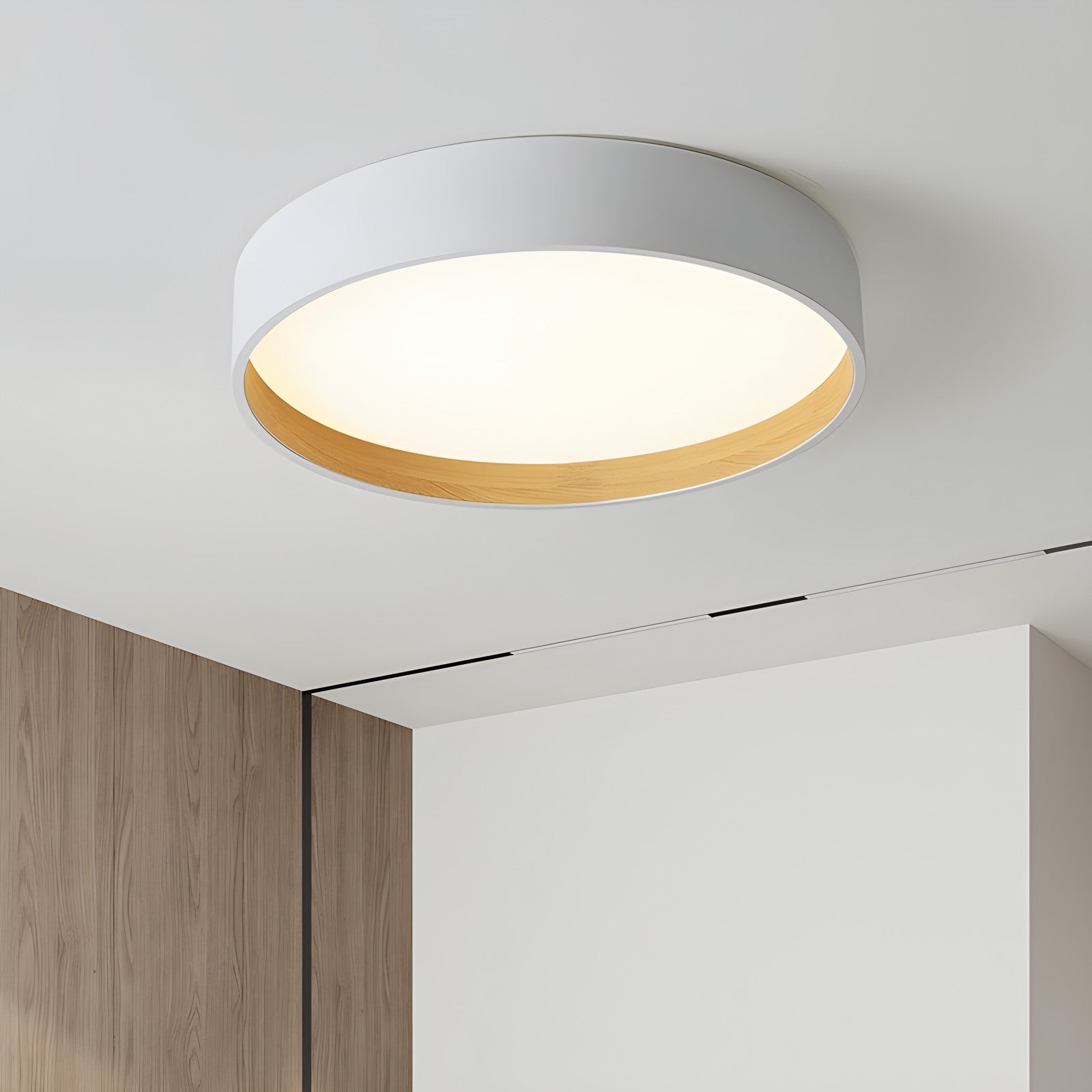 Feyran Quinn Modern Round Ceiling Light