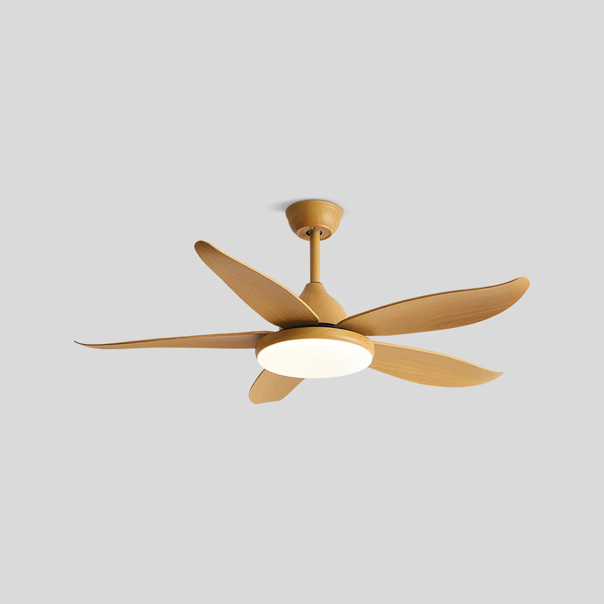 Feyran 5 Blade Contemporary Ceiling Fan Lamp