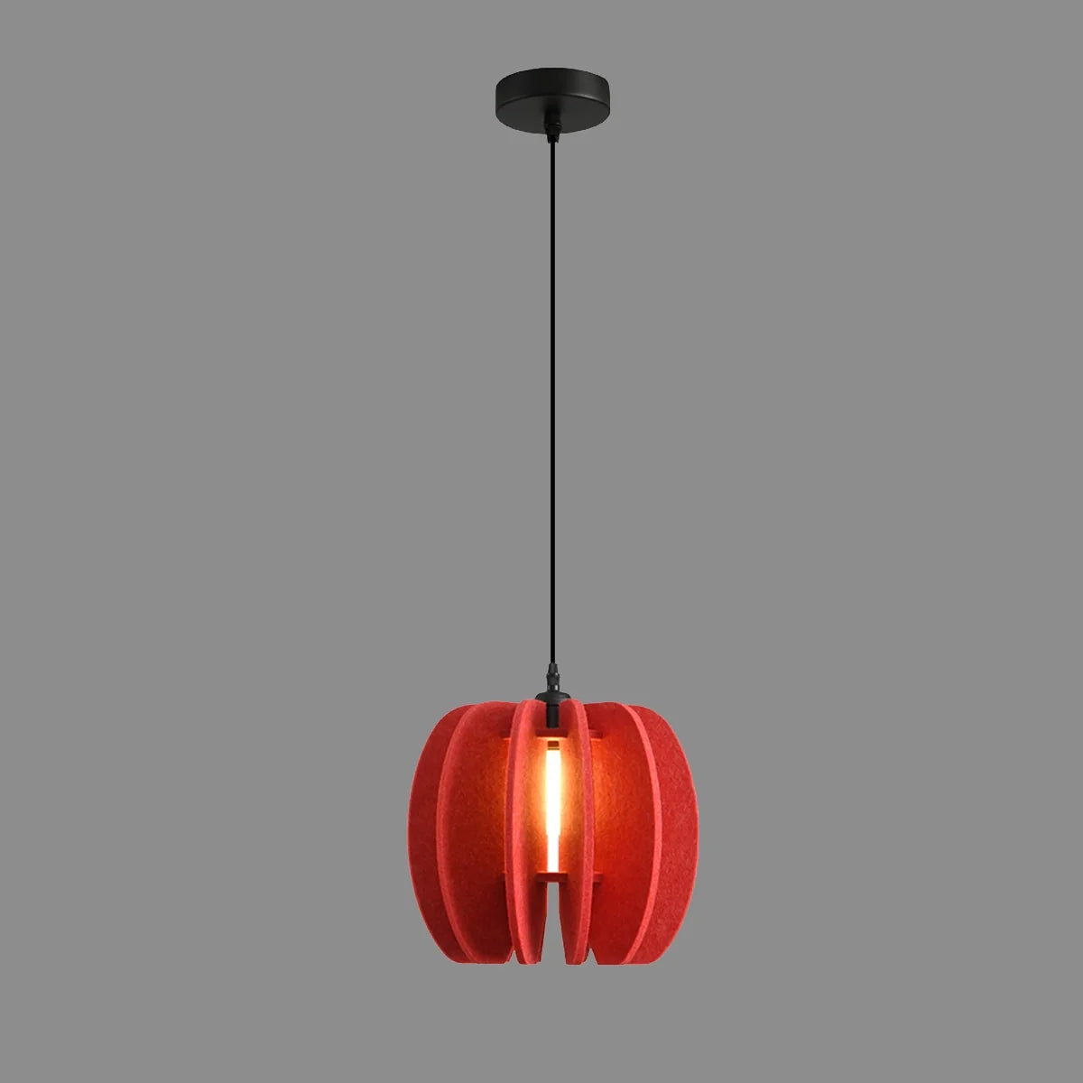 Feyran Circular Arc Piece Acoustic Pendant Light