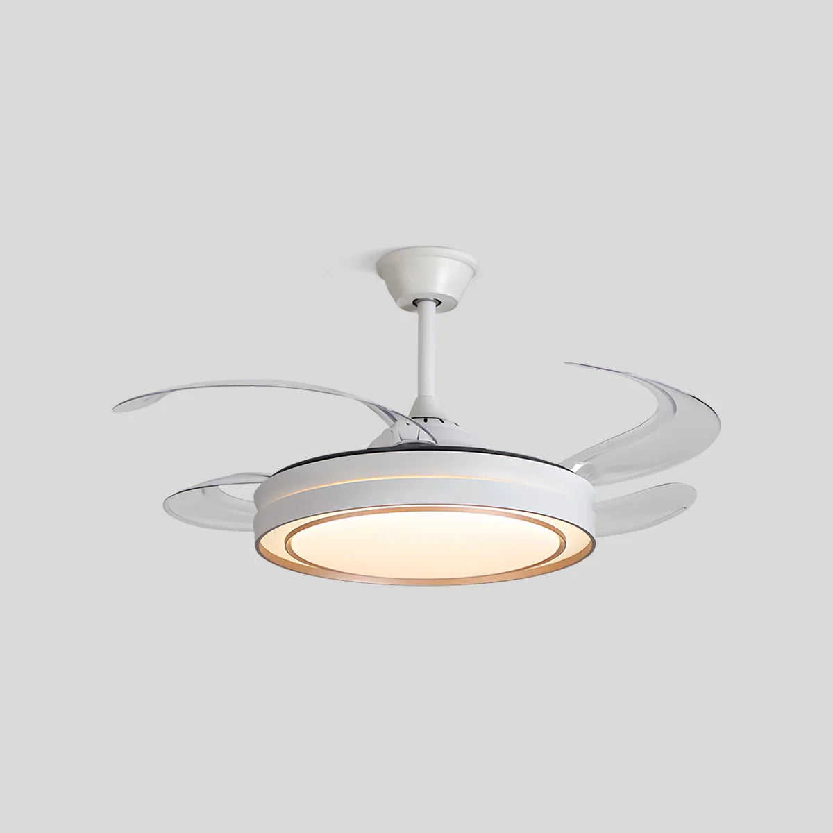 Feyran Modern Round Ceiling Fan Light with Remote Control