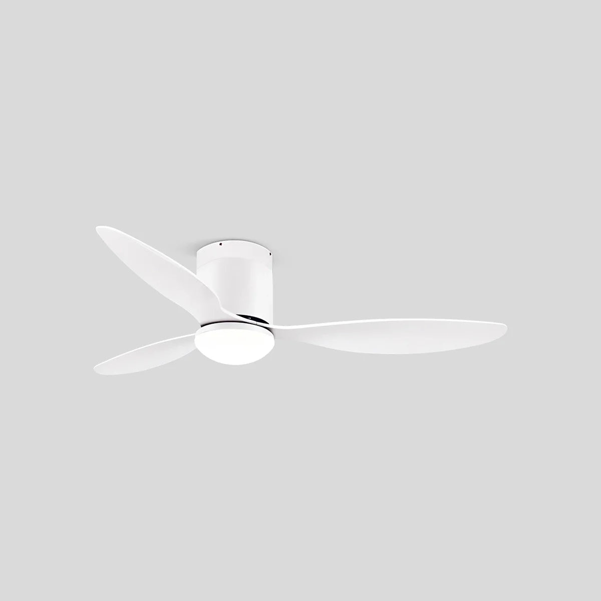 Feyran 3 Blade Modern Ceiling Fan with Light