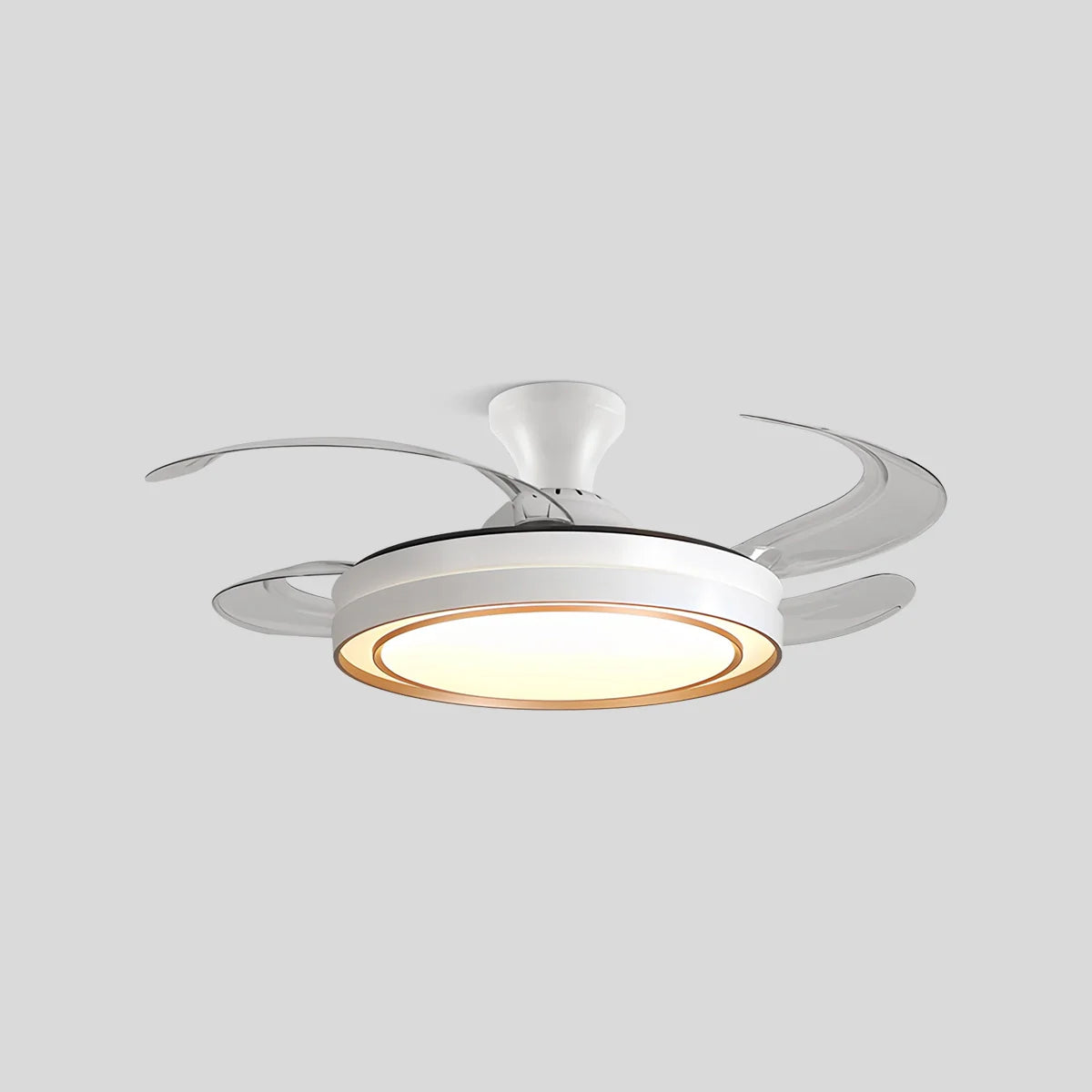 Feyran Modern Round Ceiling Fan Light with Remote Control