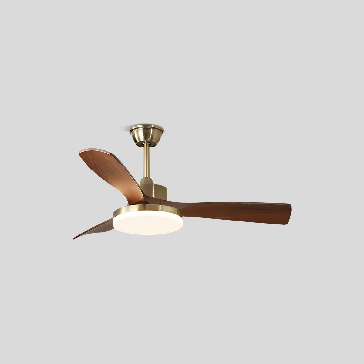 Feyran Modern 5-leaf Remote Control Ceiling Fan Light