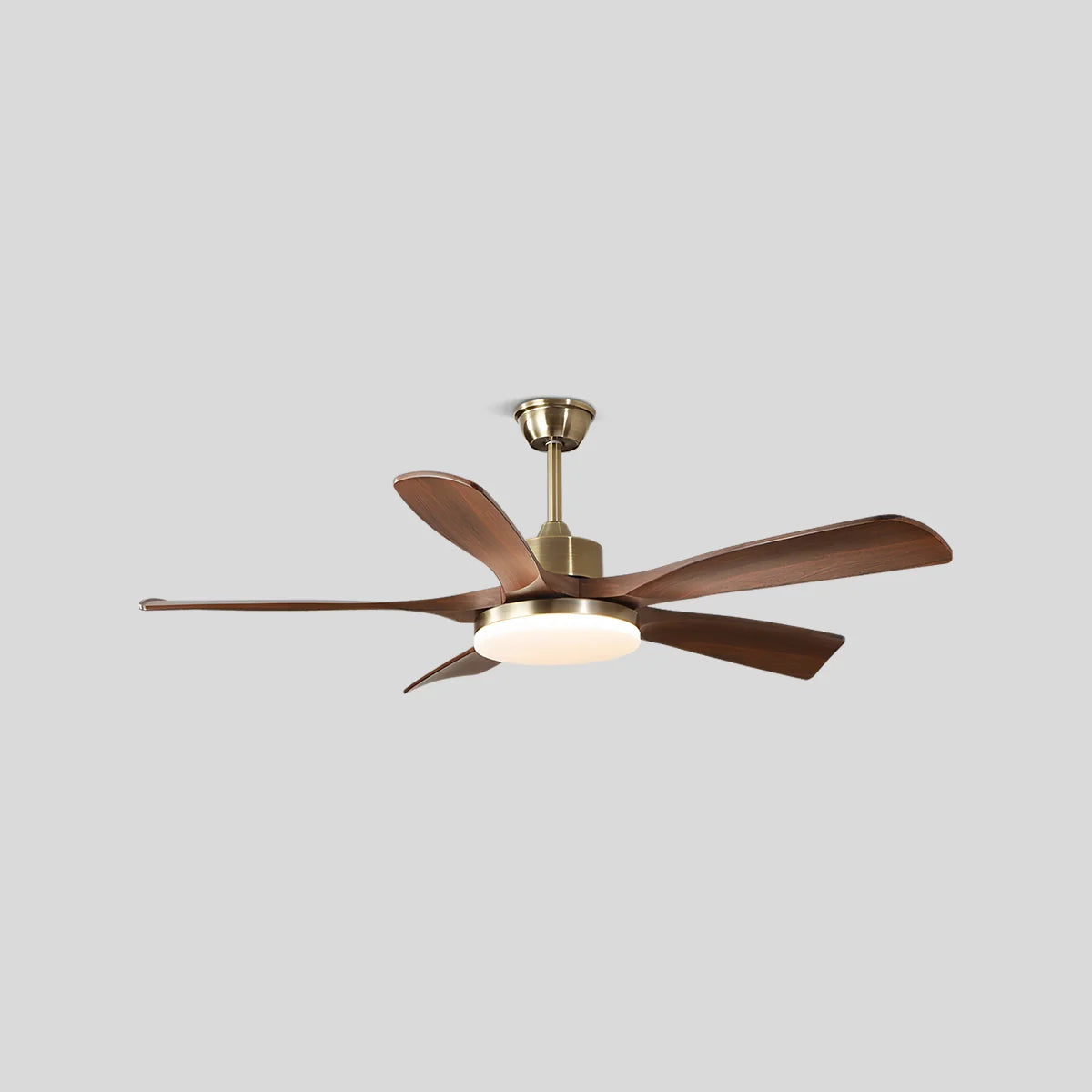 Feyran Modern 5-leaf Remote Control Ceiling Fan Light