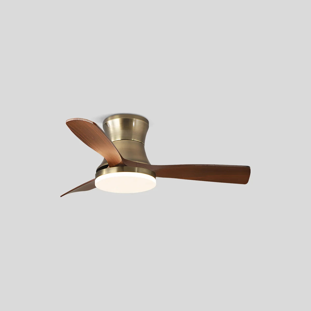 Feyran Modern 5-leaf Remote Control Ceiling Fan Light