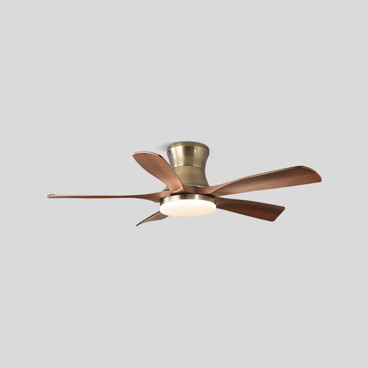 Feyran Modern 5-leaf Remote Control Ceiling Fan Light