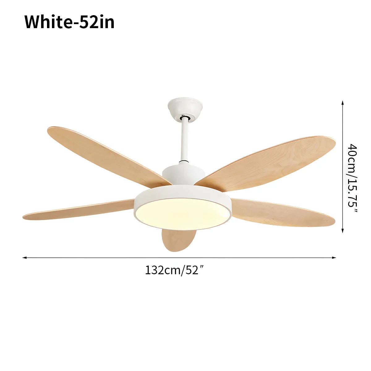 Feyran 5 Blade Modern Ceiling Fan Lamp for Living Room