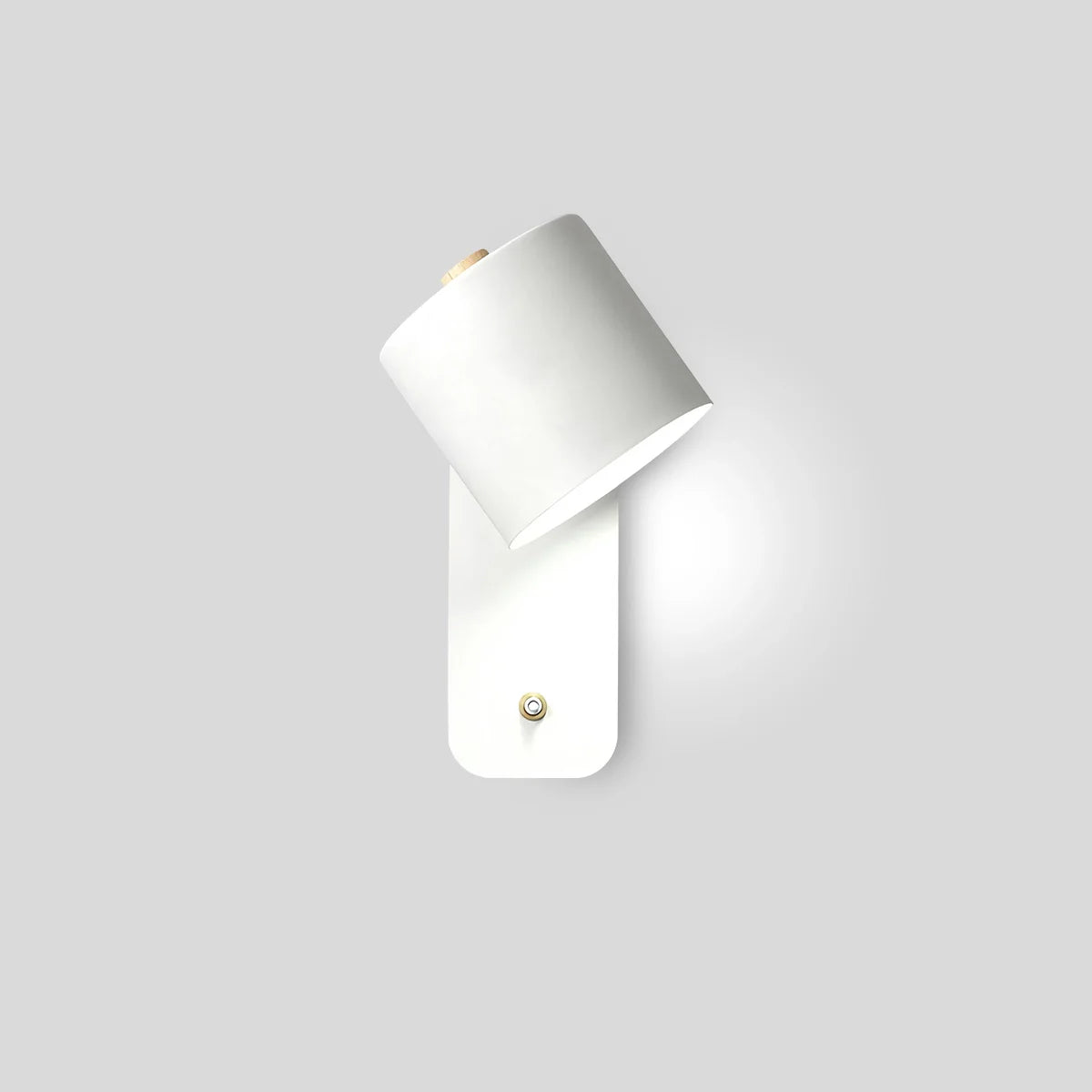 Feyran Rotatable Cylinder Wall Lamp