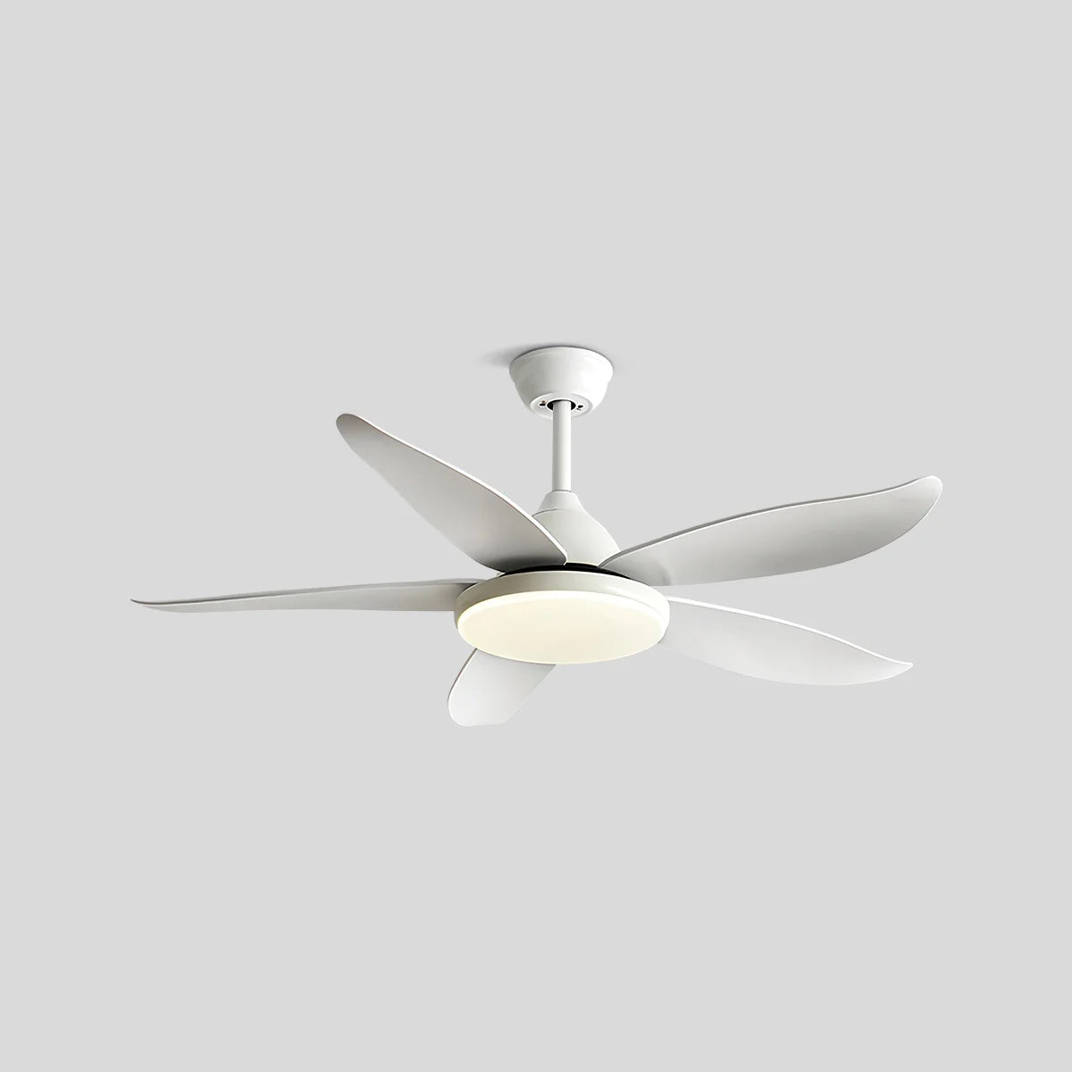 Feyran 5 Blade Contemporary Ceiling Fan Lamp