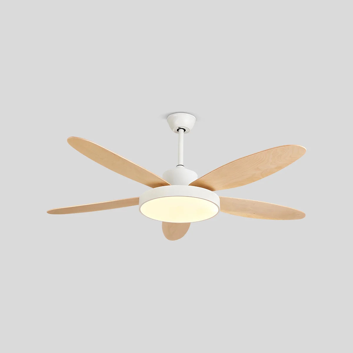 Feyran 5 Blade Modern Ceiling Fan Lamp for Living Room
