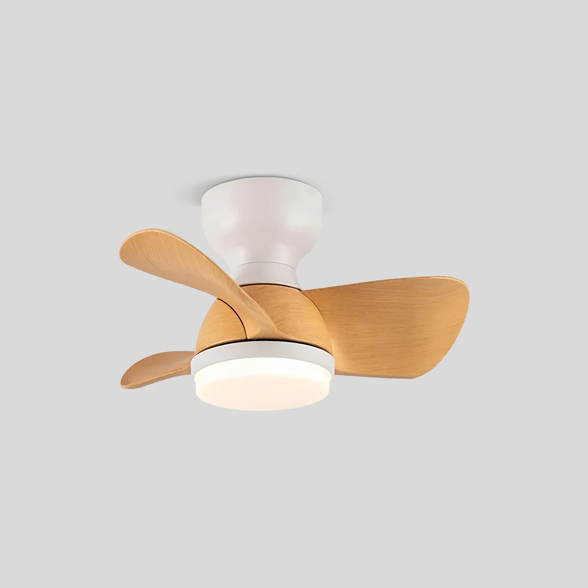 Feyran Small Flush Mount Ceiling Fan with Light