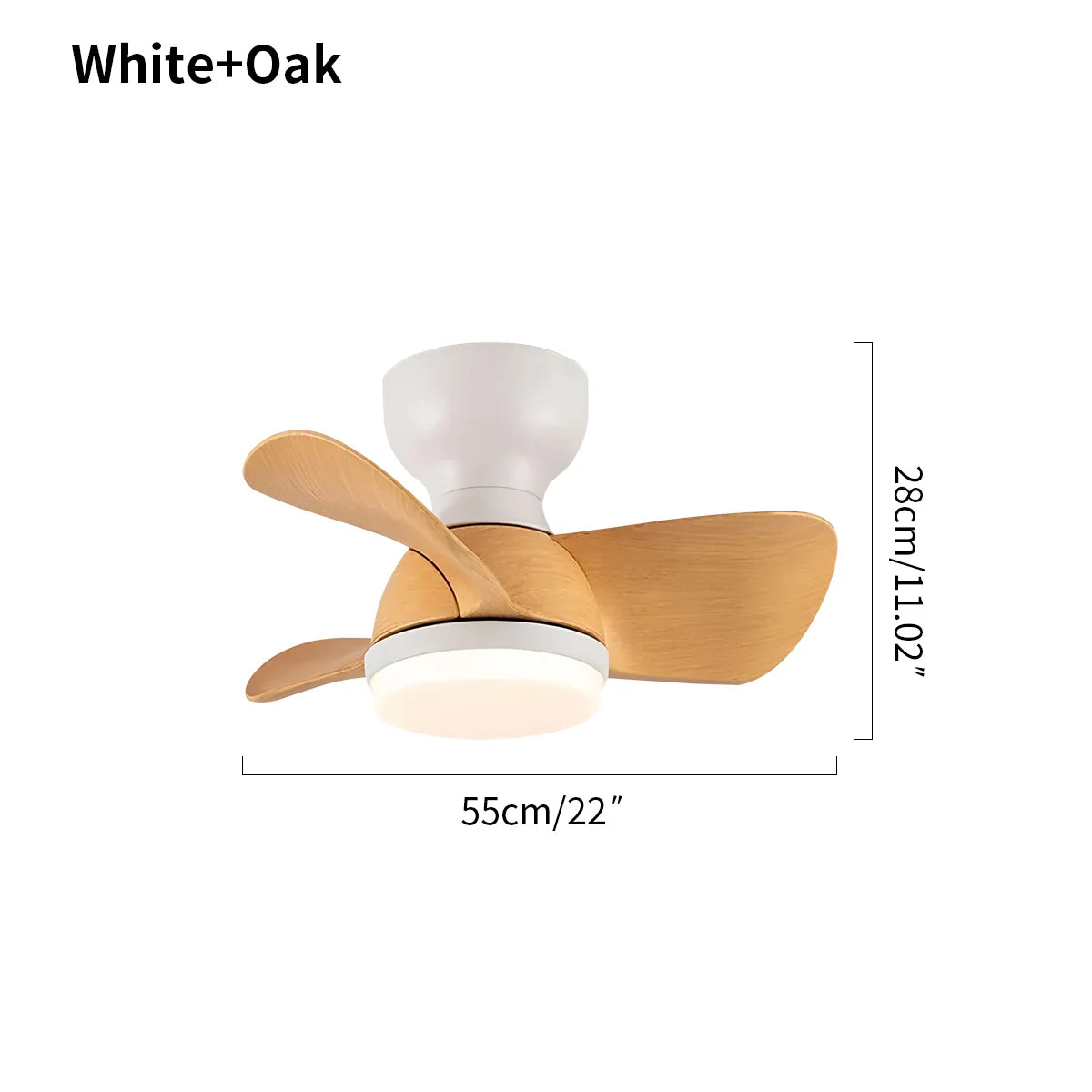 Feyran Small Flush Mount Ceiling Fan with Light