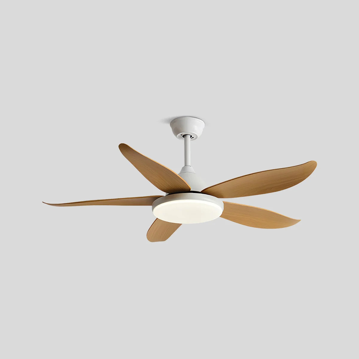 Feyran 5 Blade Contemporary Ceiling Fan Lamp