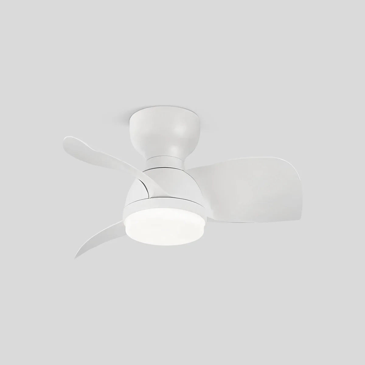 Feyran Small Flush Mount Ceiling Fan with Light