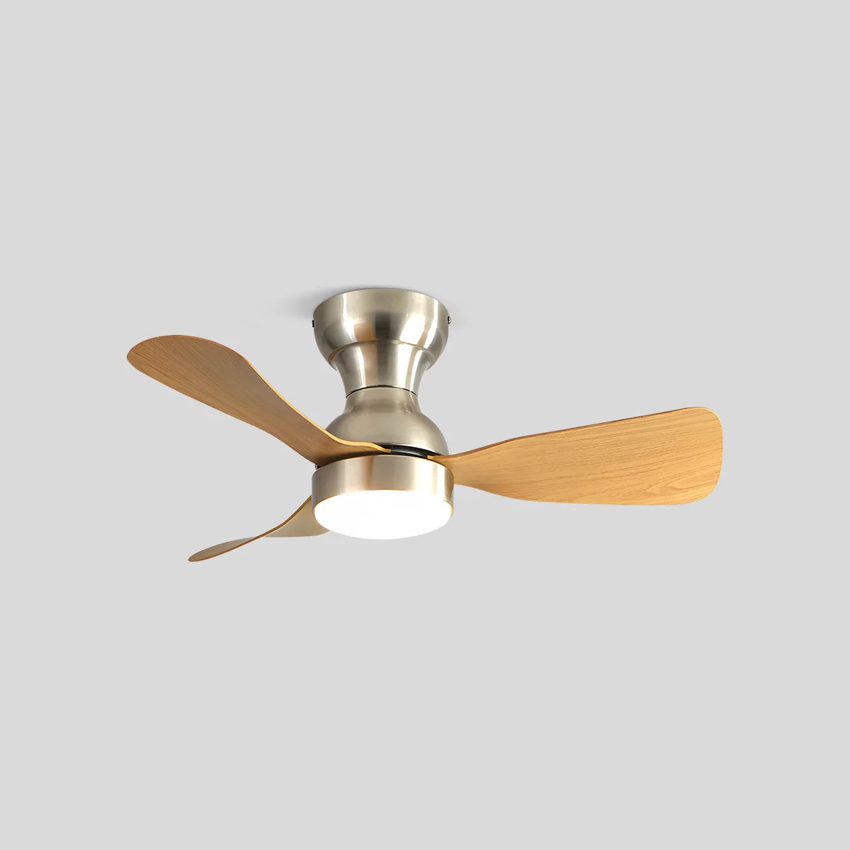 Feyran Small Size Indoor Ceiling Fan Light with Remote
