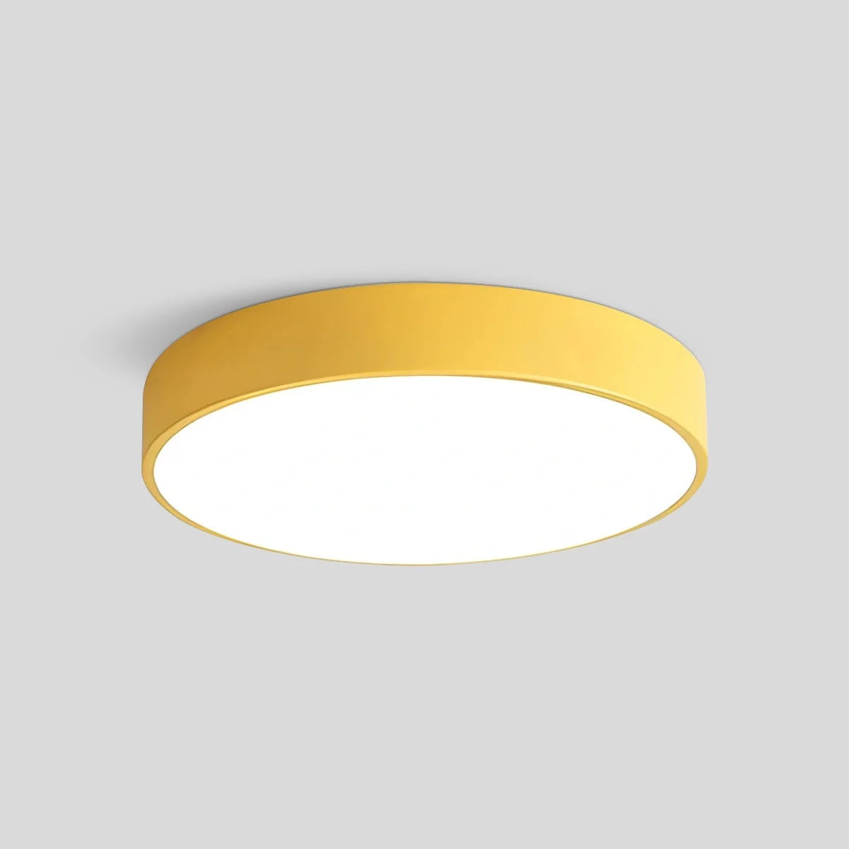 Feyran LED Minimalist Circular Macaron Ceiling Light