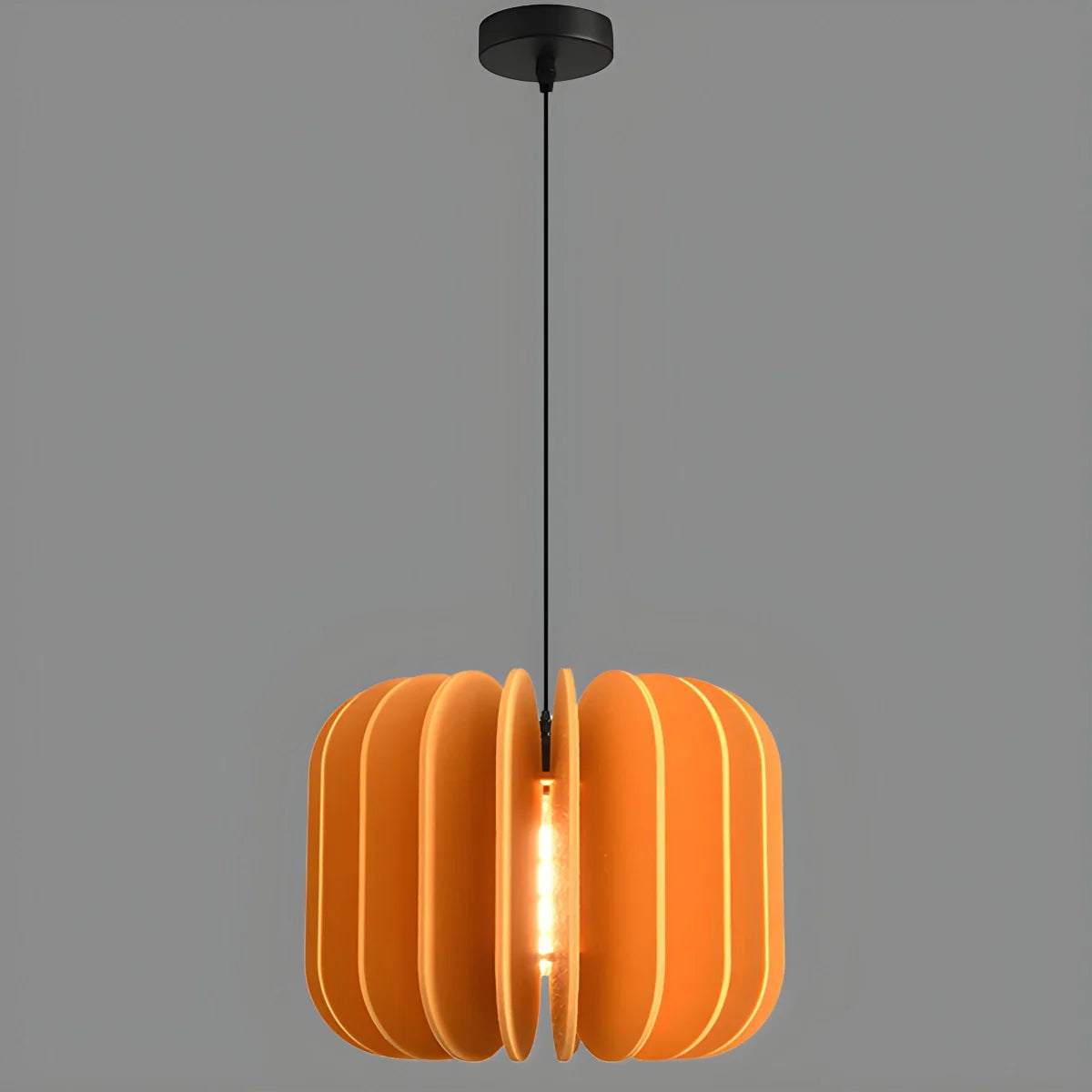 Feyran Pumpkin Slice Acoustic Pendant Light