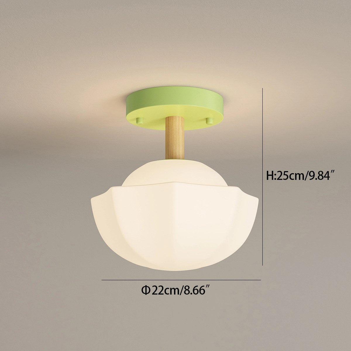 Feyran Creative Pastoral Style LED Ceiling Light
