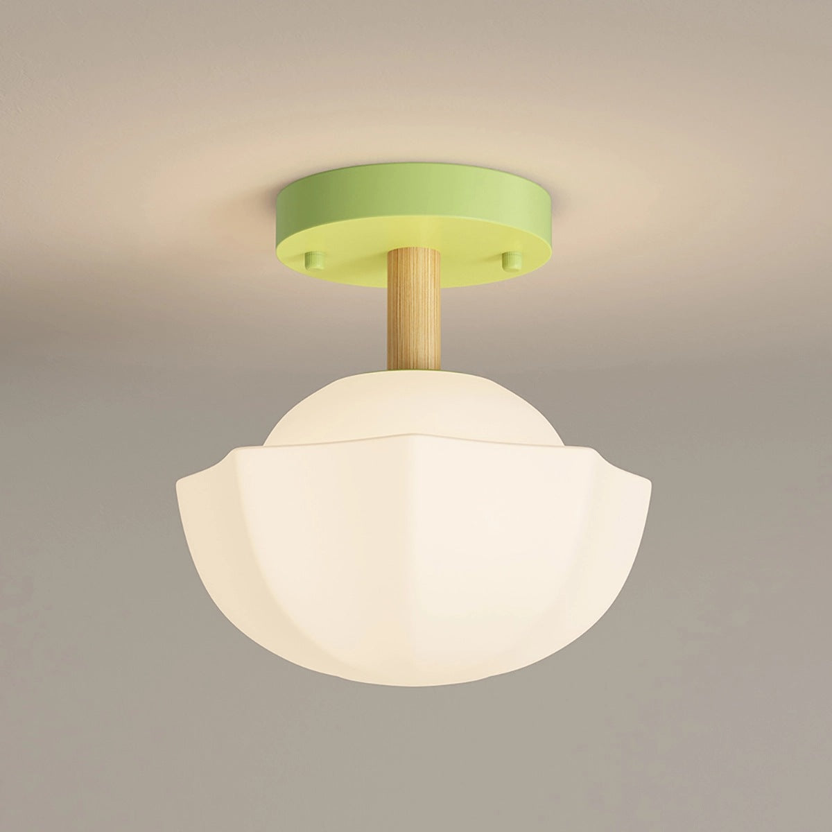 Feyran Creative Pastoral Style LED Ceiling Light