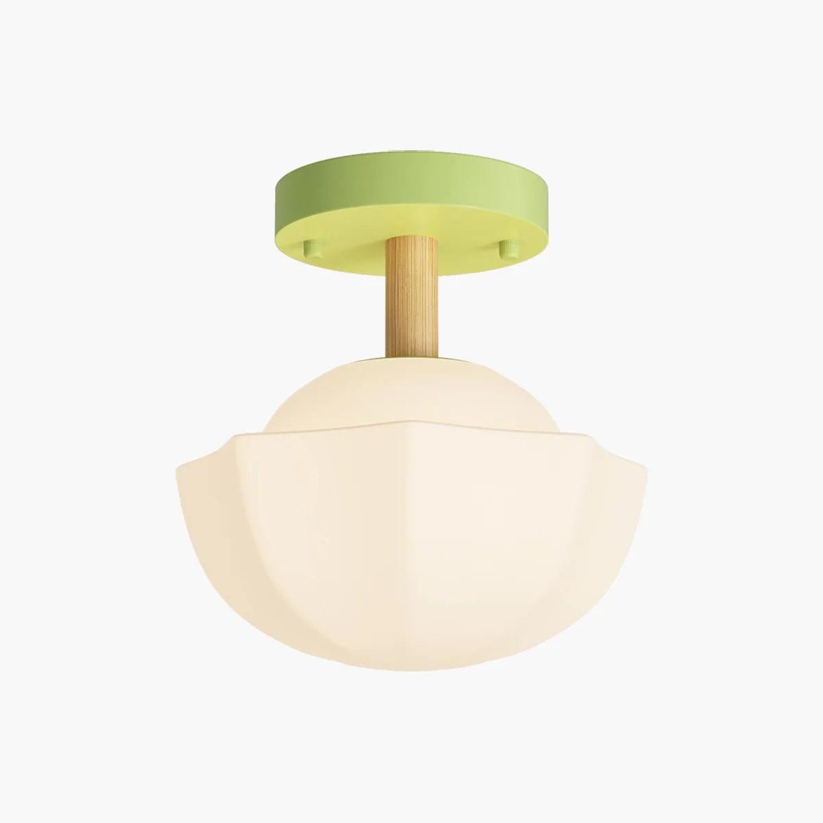 Feyran Creative Pastoral Style LED Ceiling Light