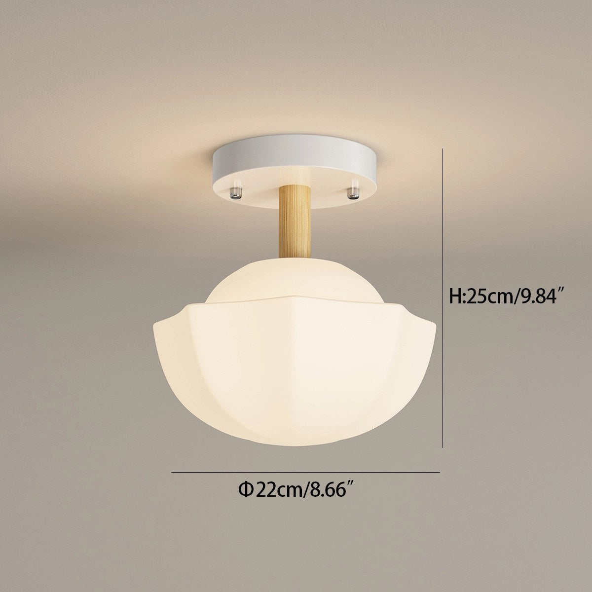 Feyran Creative Pastoral Style LED Ceiling Light