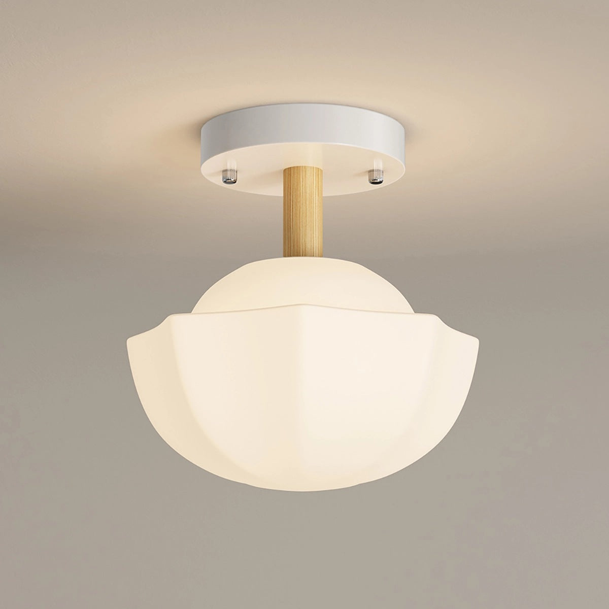 Feyran Creative Pastoral Style LED Ceiling Light